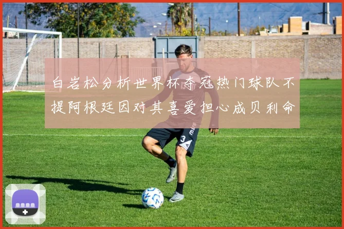 白岩松分析世界杯夺冠热门球队不提阿根廷因对其喜爱担心成贝利命运
